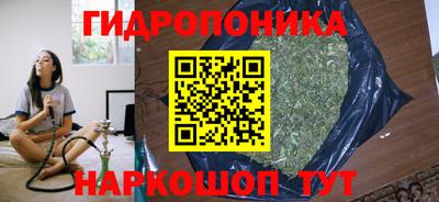 гашик Краснознаменск