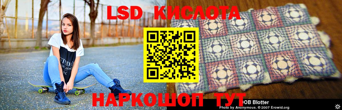 A PVP Канаш